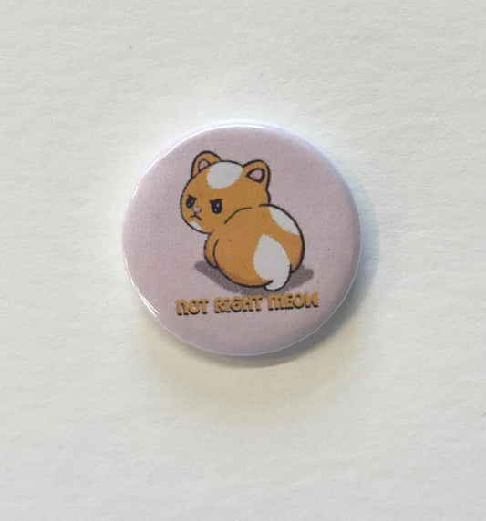 Not Right Meow 1.25 in button