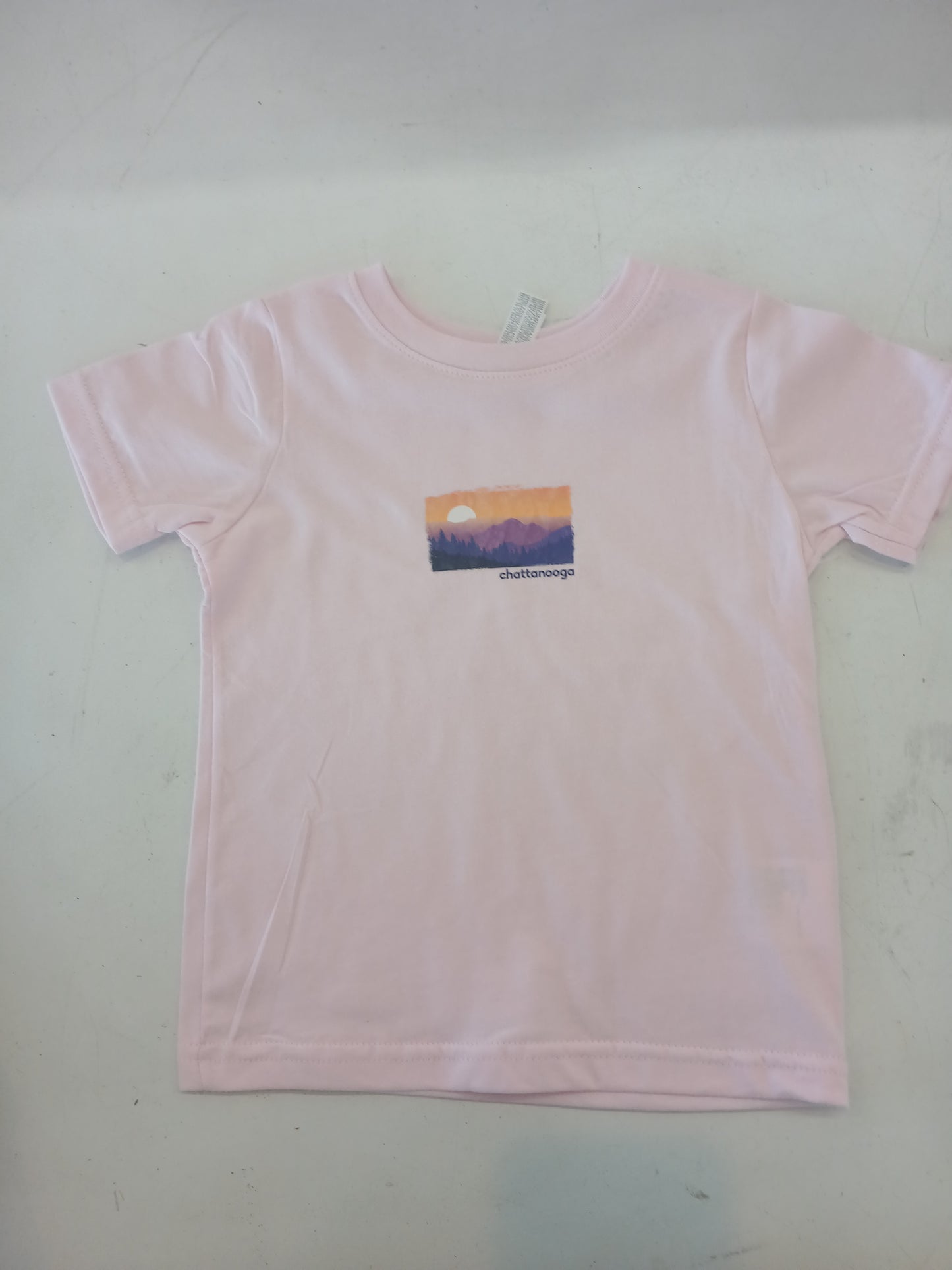 Purple Mountain Majesty Youth T-shirt - Pink