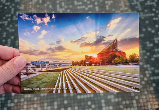 Steven Llorca Postcard- Aquarium Sunrise