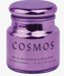 Chroma Candle 2.5 Oz Wild Wisteria & Willow-Paddy Wax