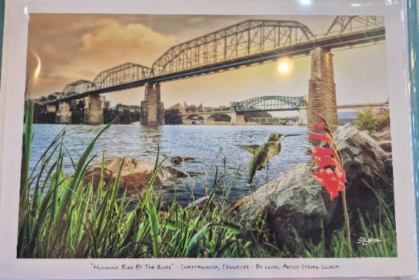 Humming Bird By The River 8x12 Steven Llorca