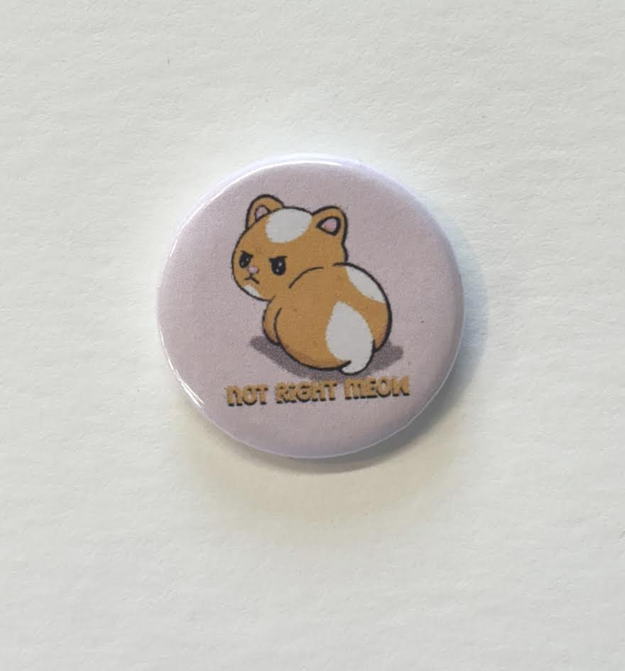 Not Right Meow 1.25 in button