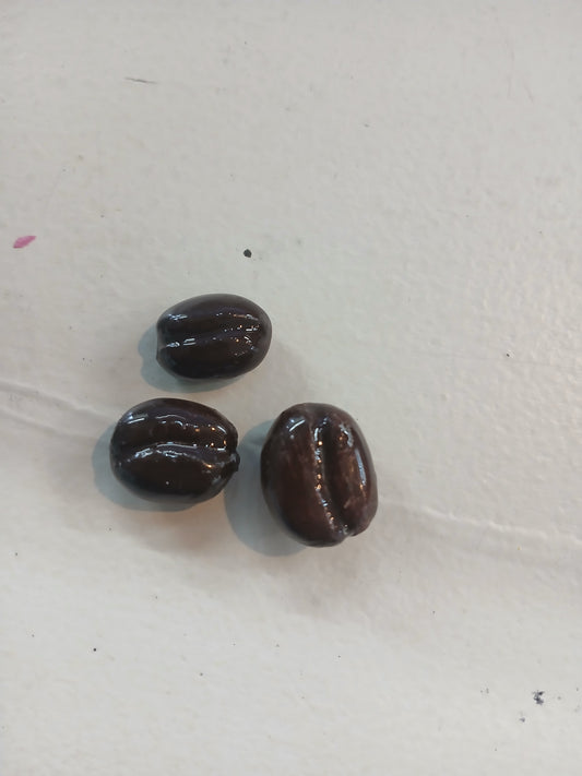 Coffee Bean Magnet