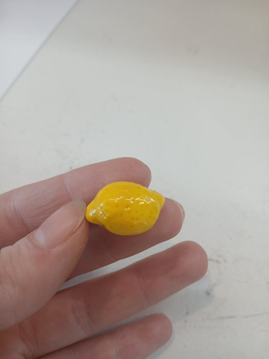 Mini Lemon Magnet