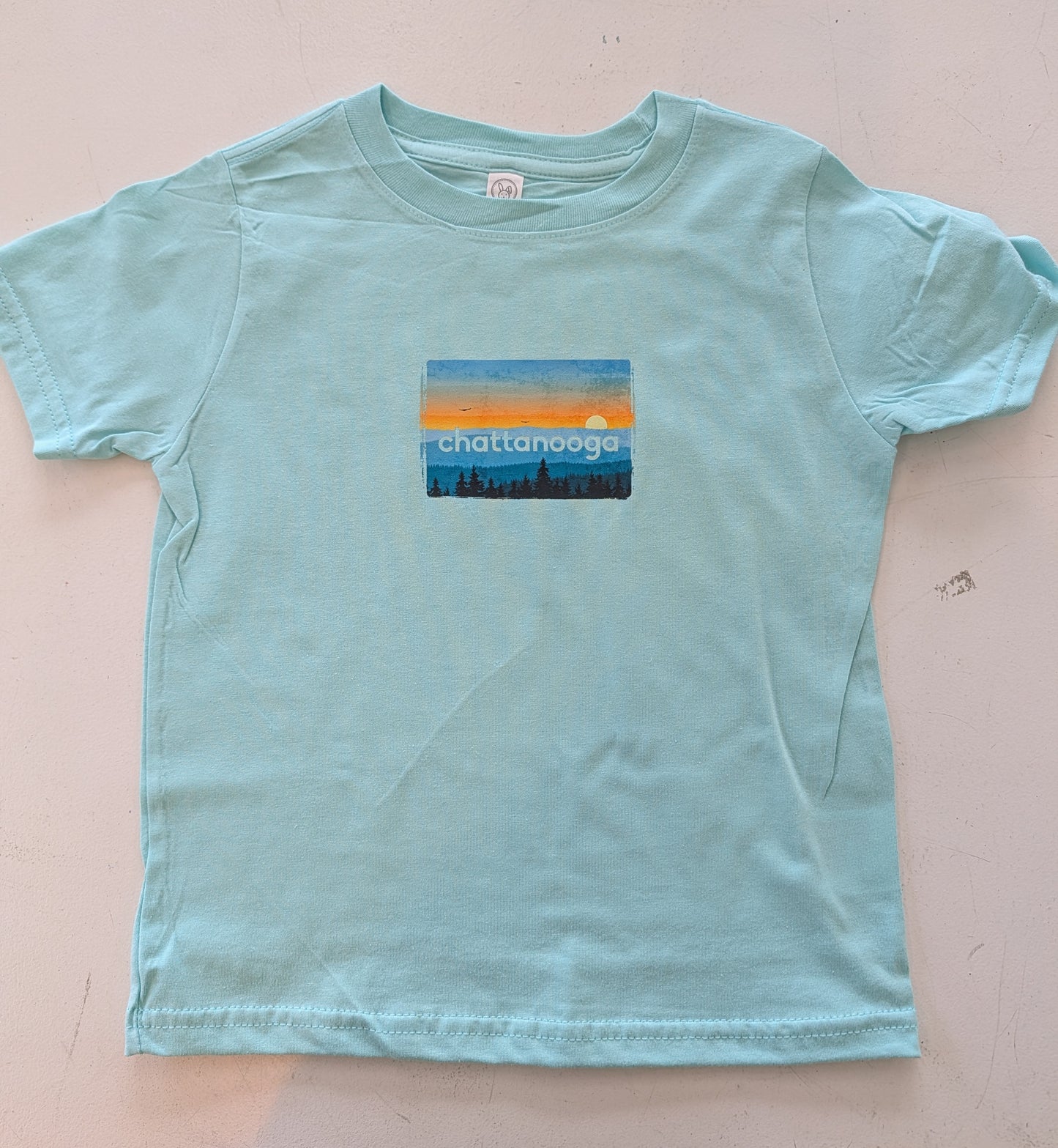 Teal Eagles Pass Youth T-shirt