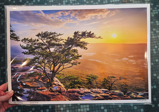 Sunset Rock Tree View 12x18 Print-Steven Llorca