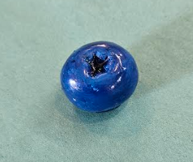 Blueberry Magnet