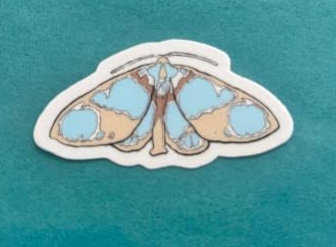 Moth Blue-Brown Sticker